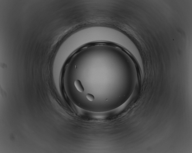 X0000090960448200708021419