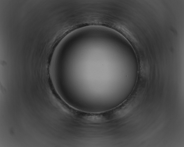 X0000090960449200708021419