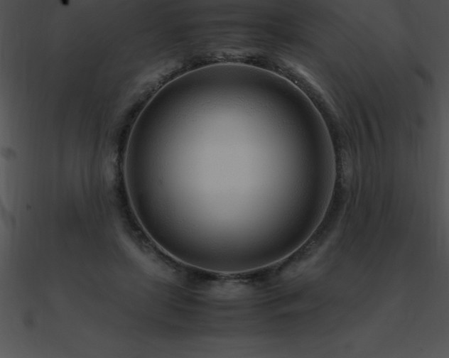 X0000090960451200708021419