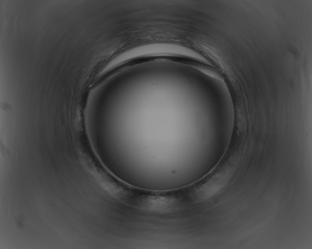 X0000090960453200708021419