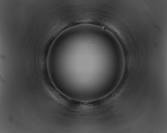 X0000090960455200708021420