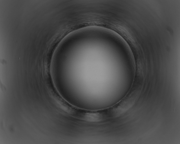 X0000090960457200708021420