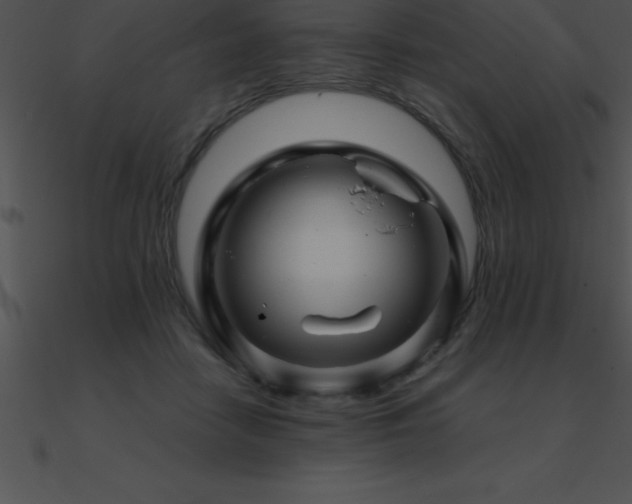 X0000090960458200708021420