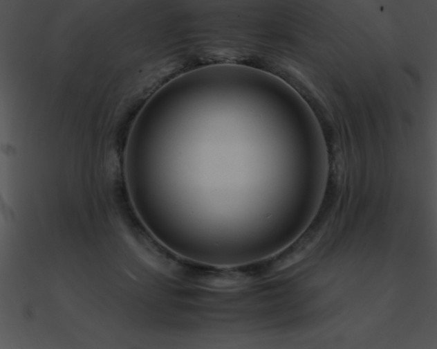 X0000090960459200708021420