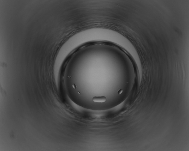 X0000090960460200708021420