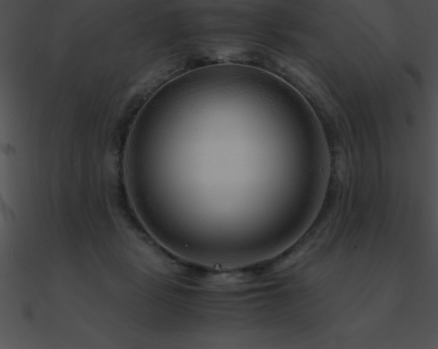 X0000090960461200708021420