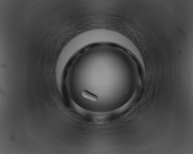X0000090960464200708021420