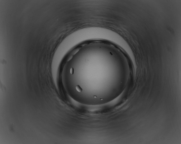 X0000090960466200708021420