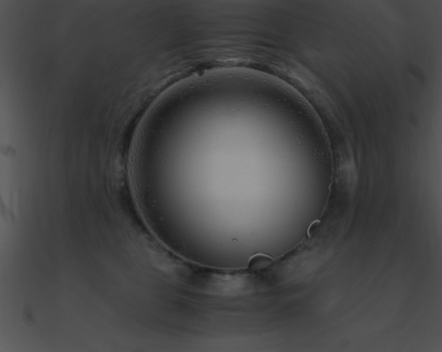 X0000090960469200708021420