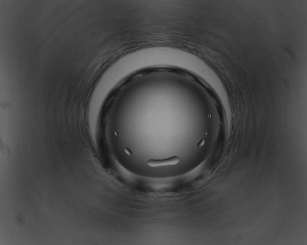 X0000090960470200708021420