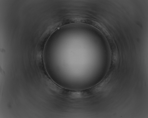 X0000090960473200708021420