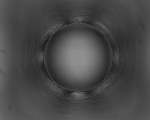 X0000090960477200708021420