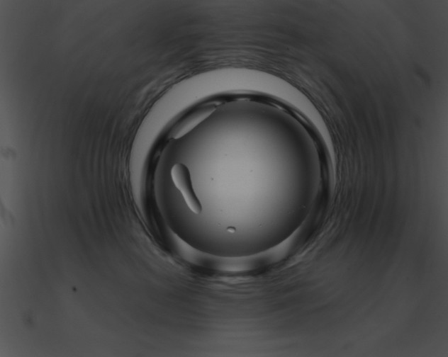 X0000090960478200708021420