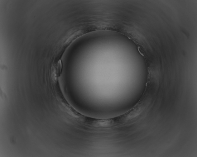 X0000090960479200708021420