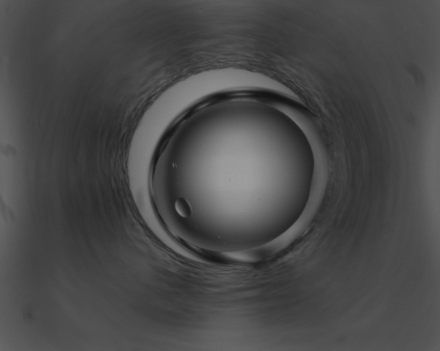 X0000090960480200708021420