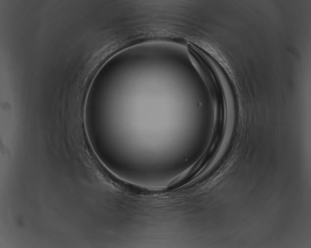 X0000090960481200708021419