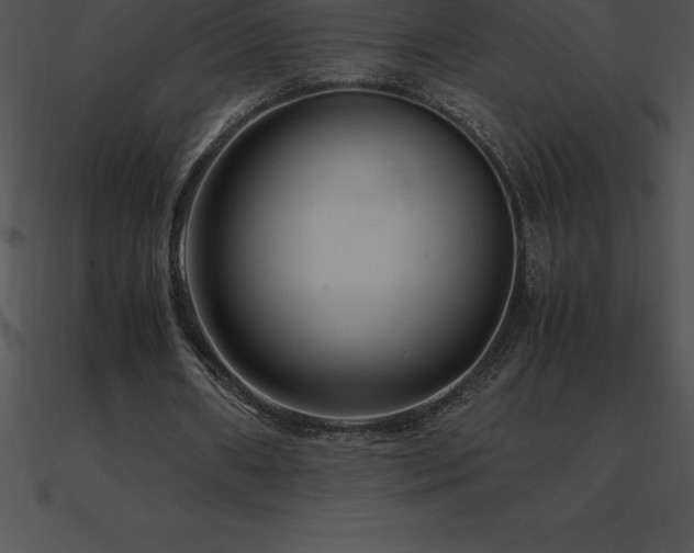 X0000090960482200708021419