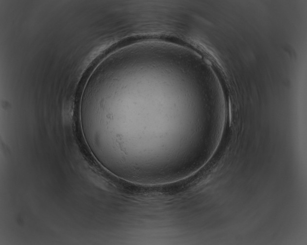 X0000090960483200708021419
