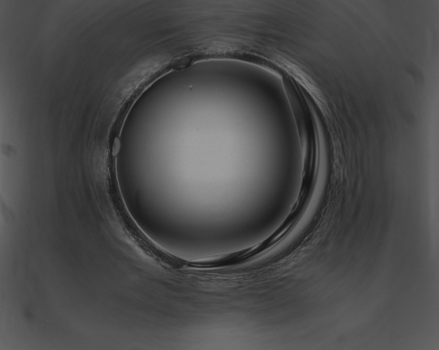 X0000090960485200708021419
