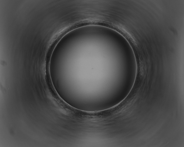 X0000090960486200708021419