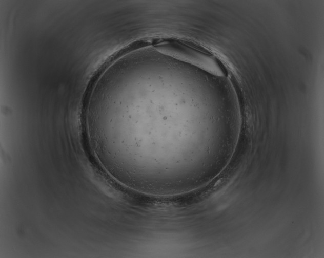 X0000090960487200708021419