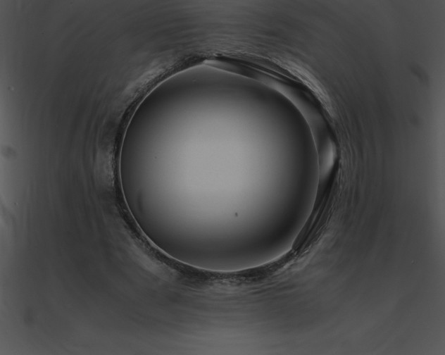 X0000090960489200708021419
