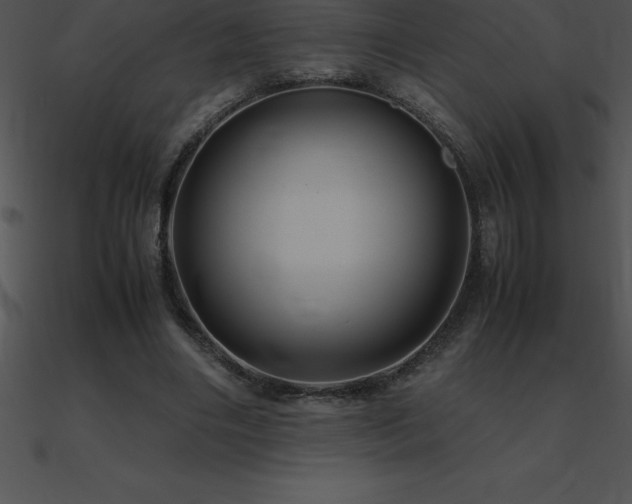 X0000090960490200708021419