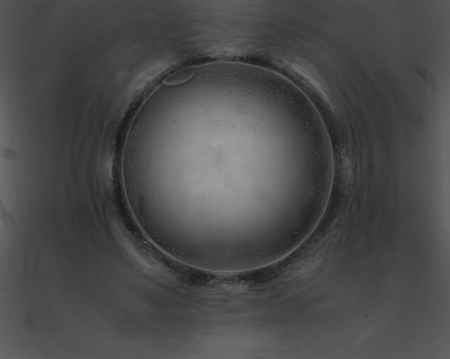 X0000090960491200708021419