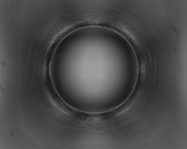 X0000090960492200708021419