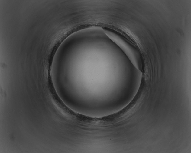 X0000090960493200708021419