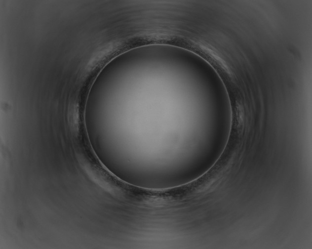 X0000090960494200708021419