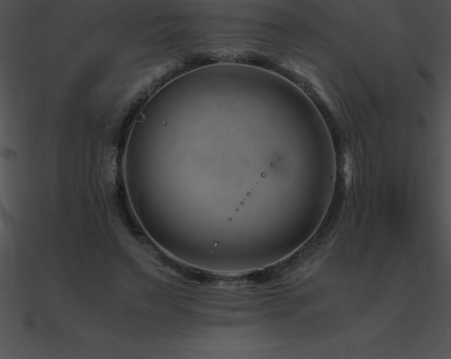 X0000090960495200708021419