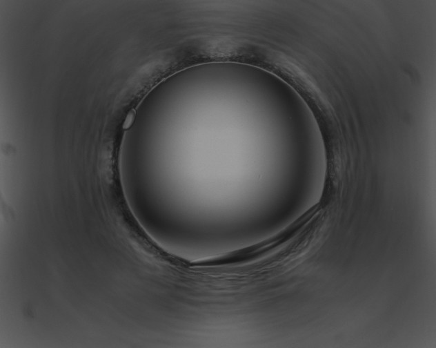 X0000090960497200708021419