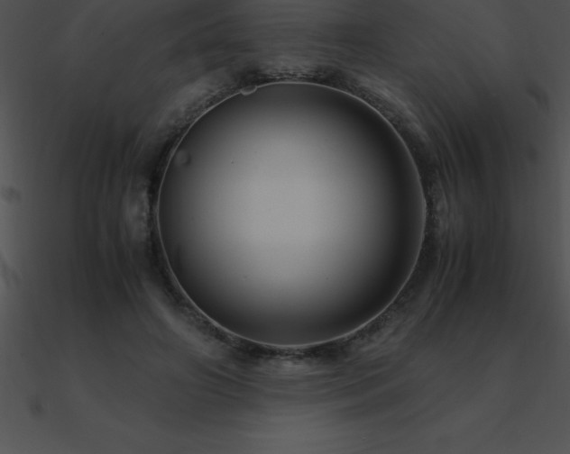 X0000090960498200708021419