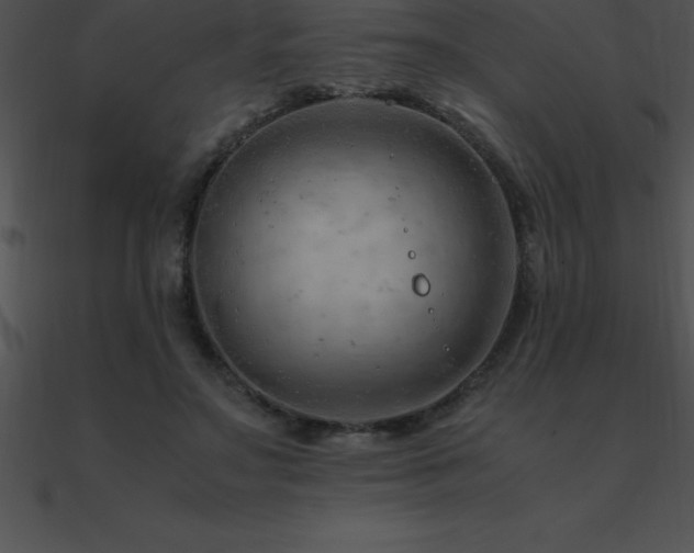 X0000090960499200708021419