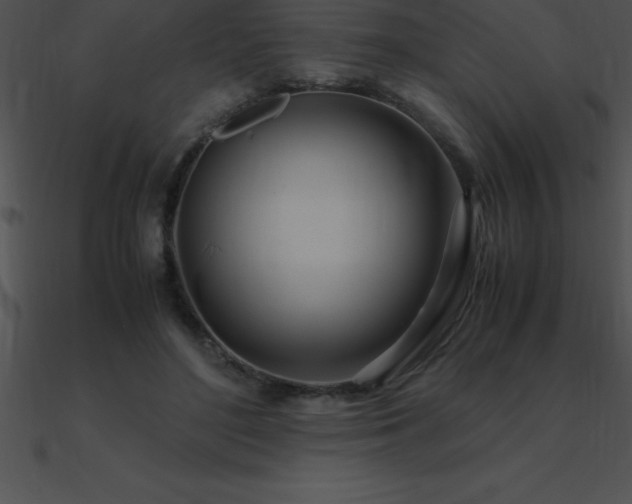 X0000090960500200708021419