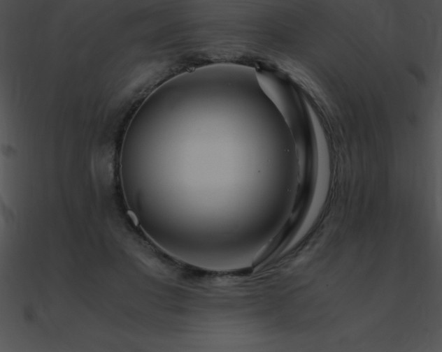 X0000090960501200708021419