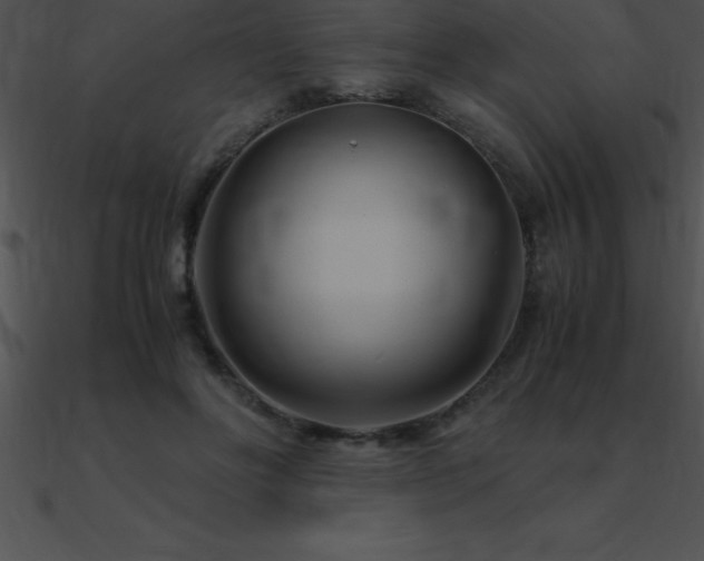 X0000090960502200708021419