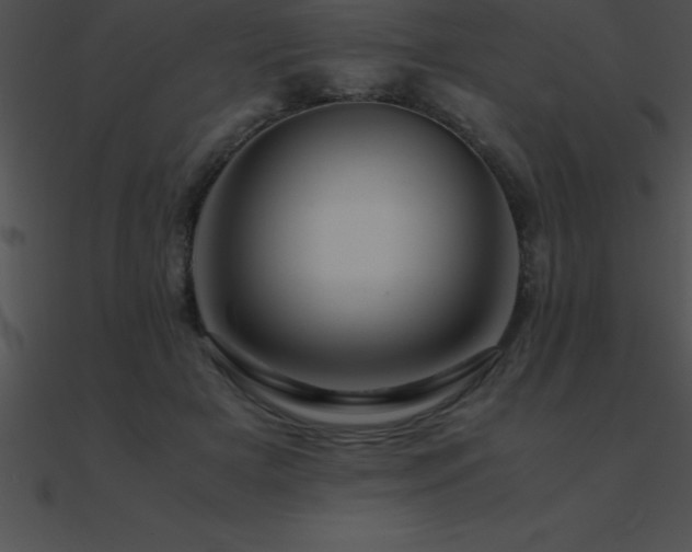X0000090960505200708021419
