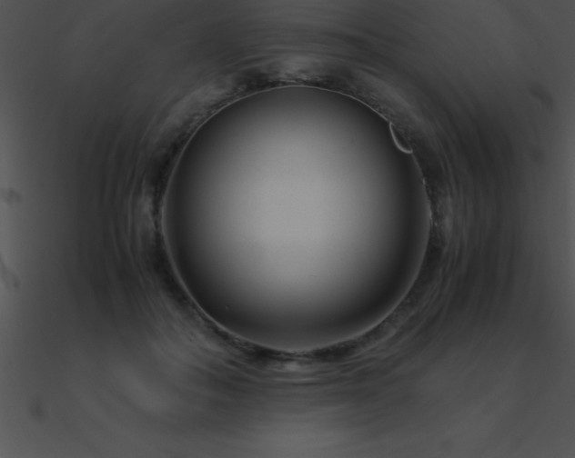 X0000090960506200708021419