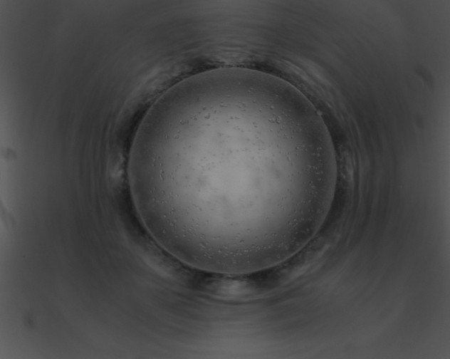 X0000090960507200708021419