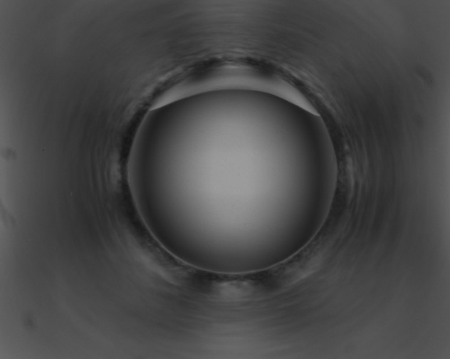 X0000090960508200708021419