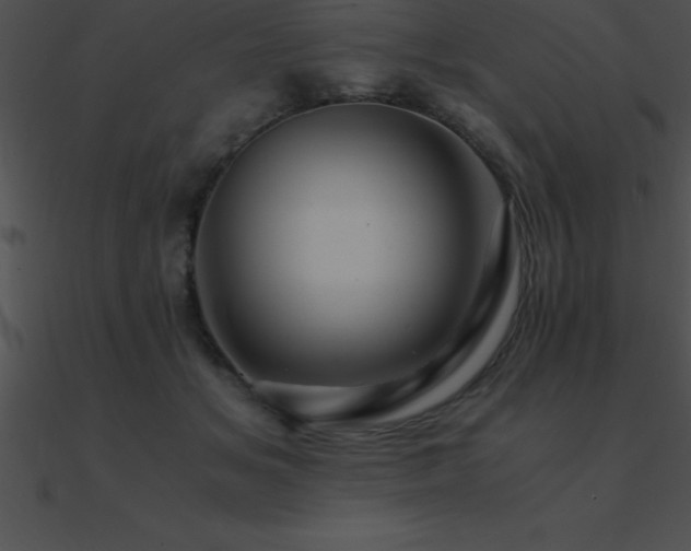 X0000090960509200708021419