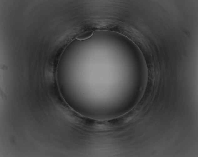 X0000090960510200708021419