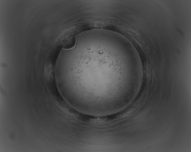 X0000090960511200708021419