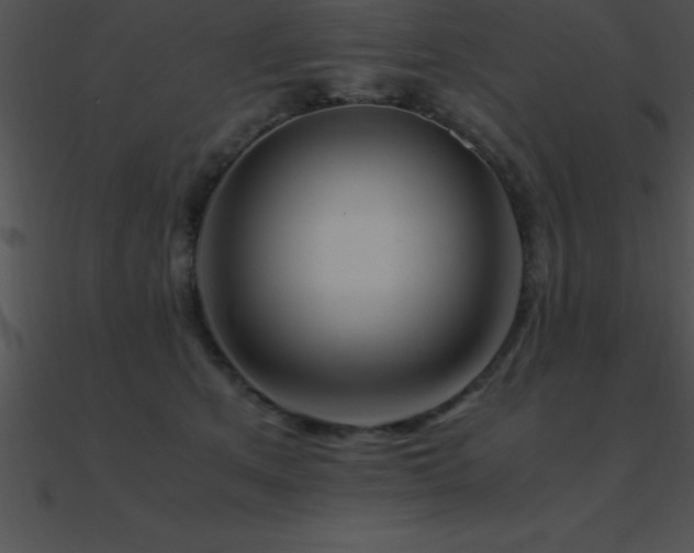 X0000090960513200708021419
