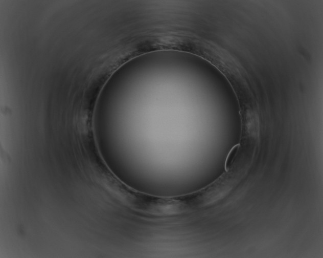 X0000090960514200708021419