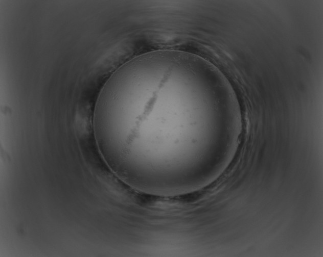 X0000090960515200708021419
