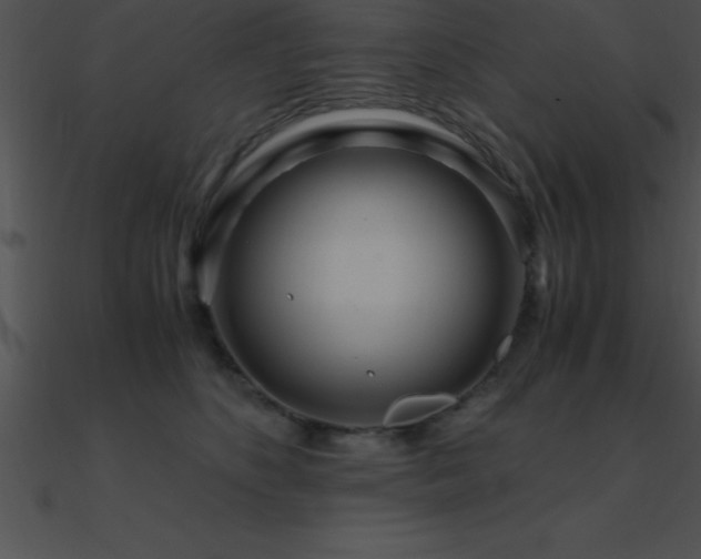 X0000090960516200708021419