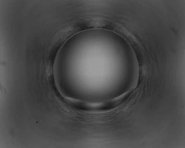 X0000090960517200708021419